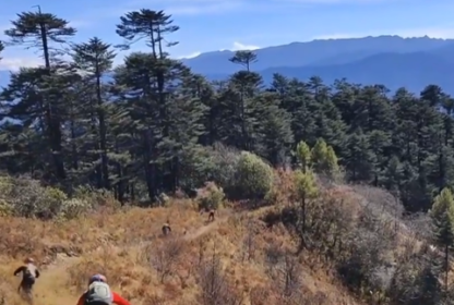 Biking Through Mountain Trails