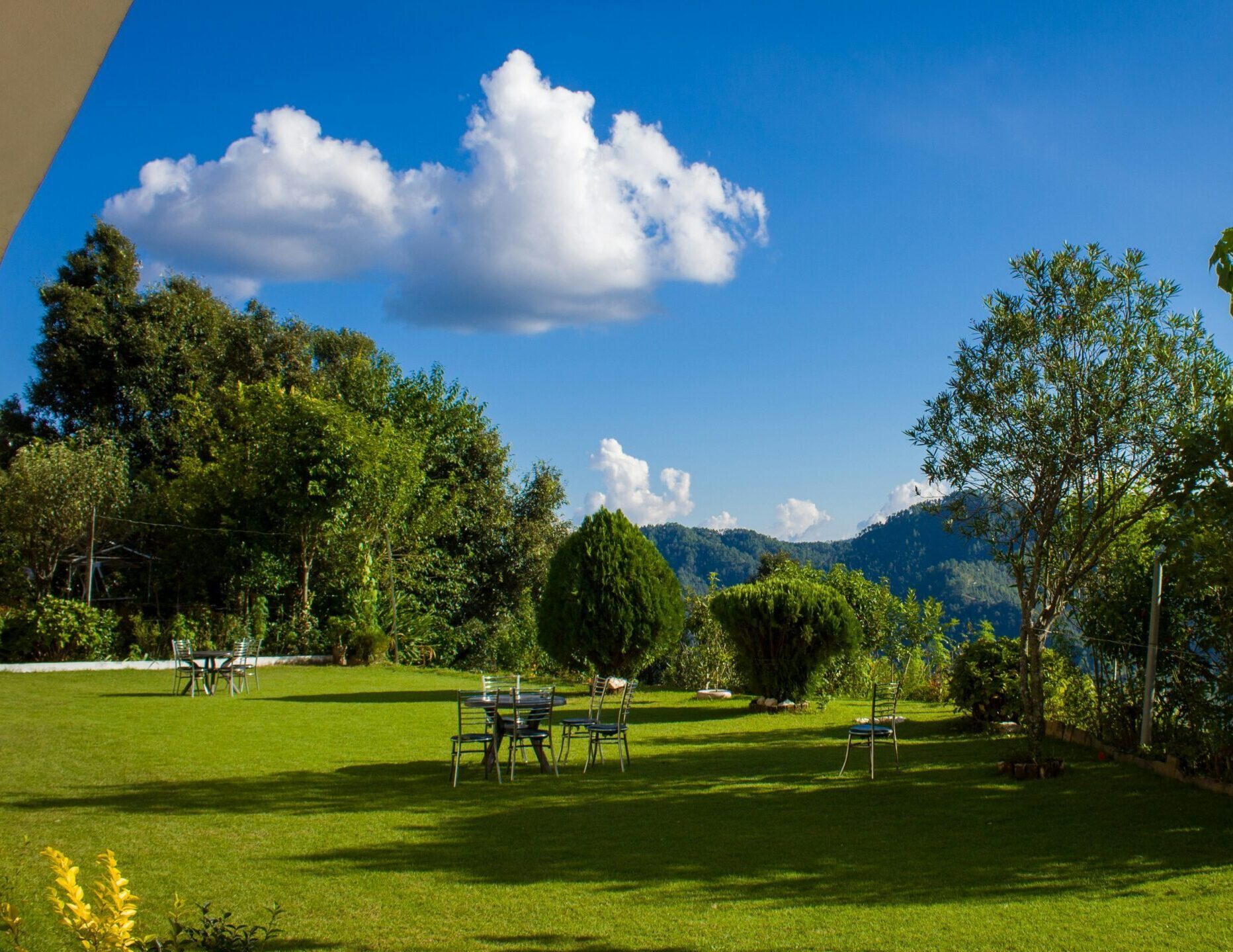 Binsar
