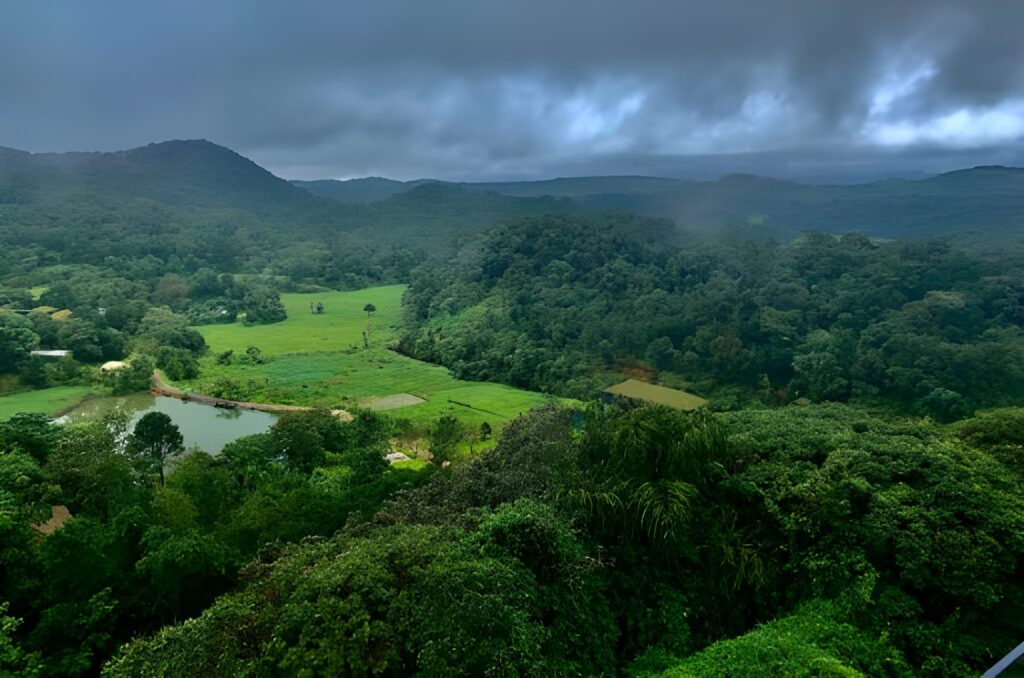 Coorg, Karnataka – Coffee Estates and Winter Trekking