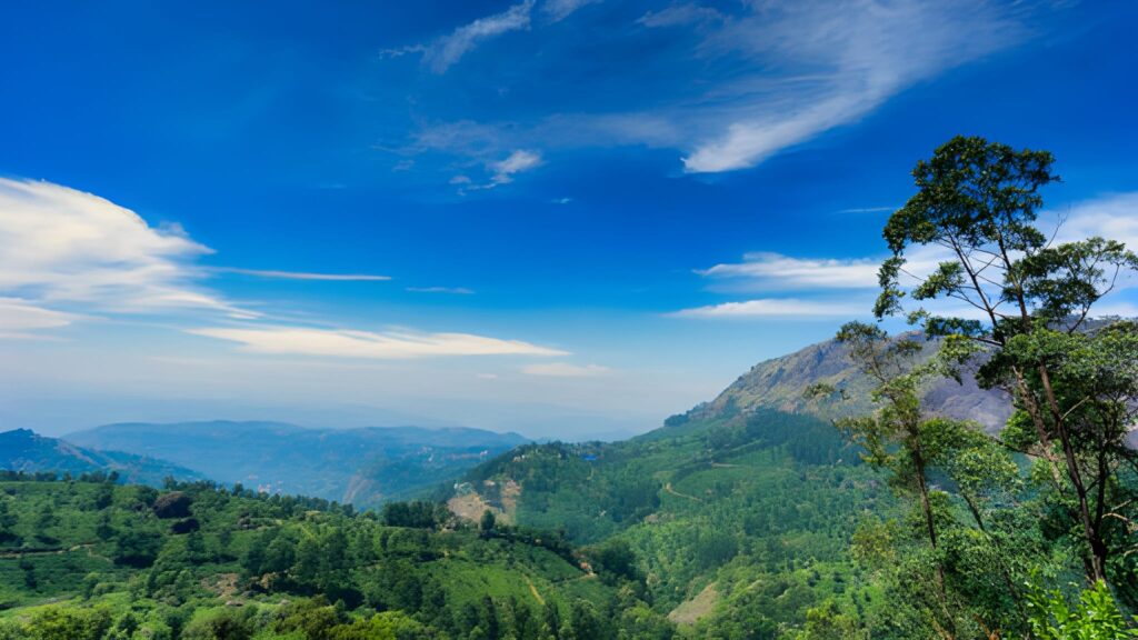 Munnar & Kovalam, Kerala – Serene Hill Stations and Coastal Bliss 