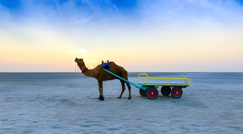 Rann of Kutch, Gujarat – Rann Utsav