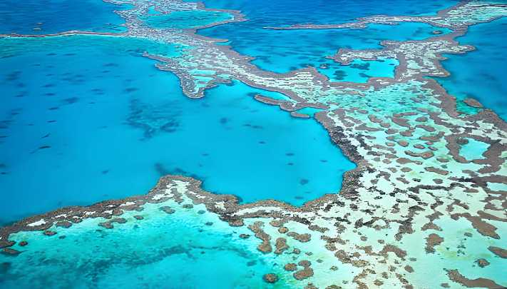 Great Barrier Reef & Cairns: Underwater Wonders 