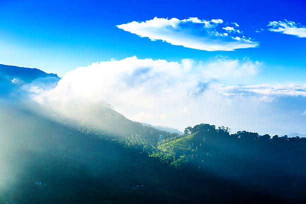 Munnar – The Misty Hill Station