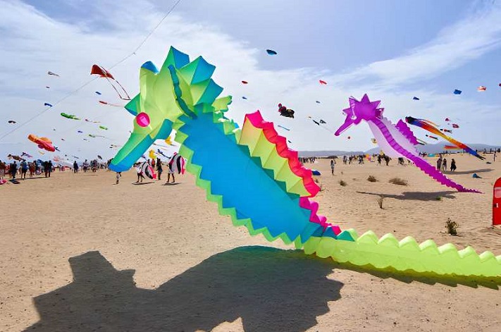 International Kite Festival (Sankranti)