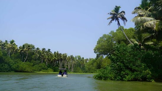 Poovar