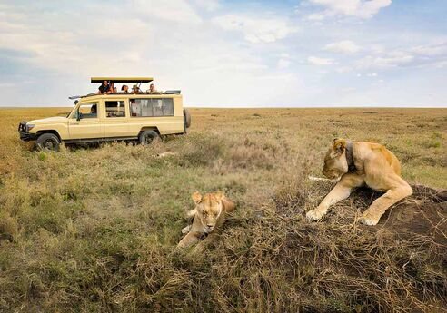 Private Safari in Africa: Unveil Nature's Wonders in the Lap of Luxury 